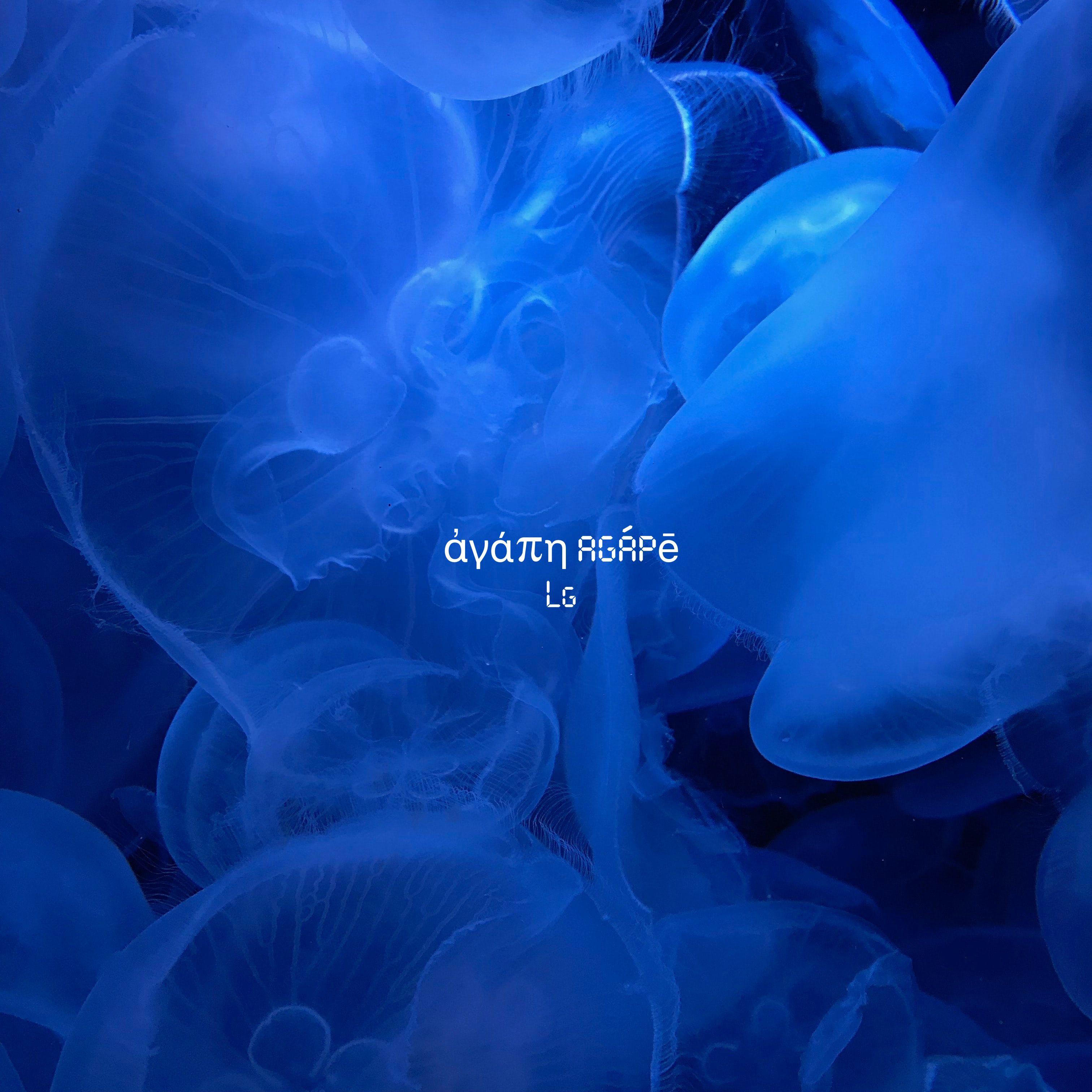 Agapē (Deluxe) album cover