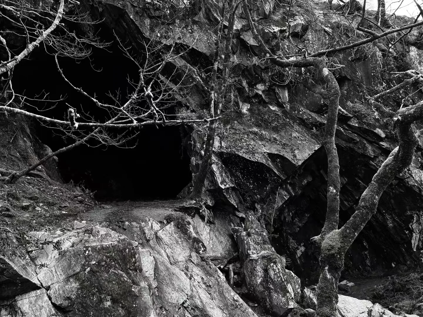 Rock Memory, photographed in Lake District in 2025