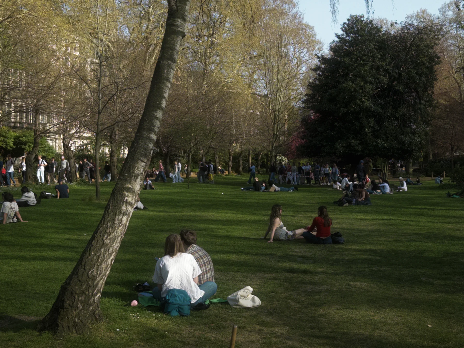 Common Ground, photographed in London in 2026
