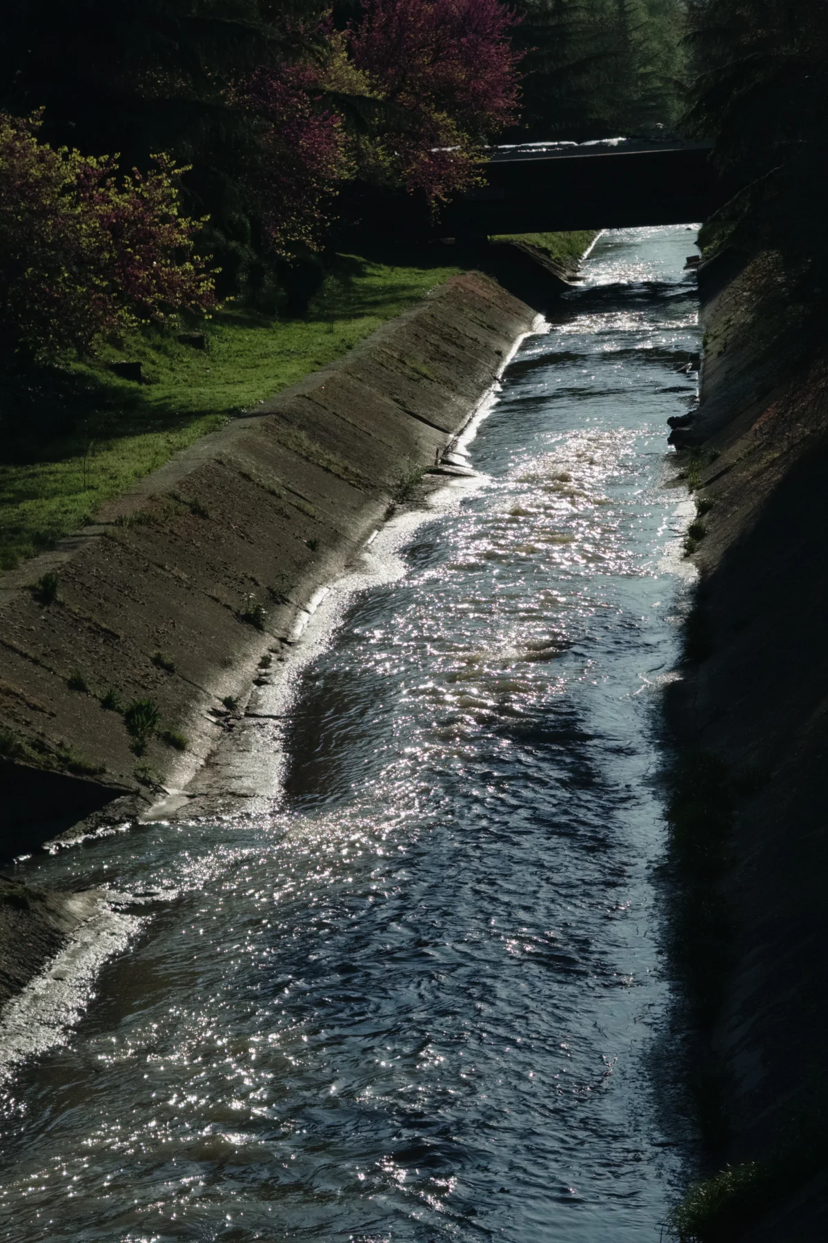Cut Water, photographed in Tirana in 2026