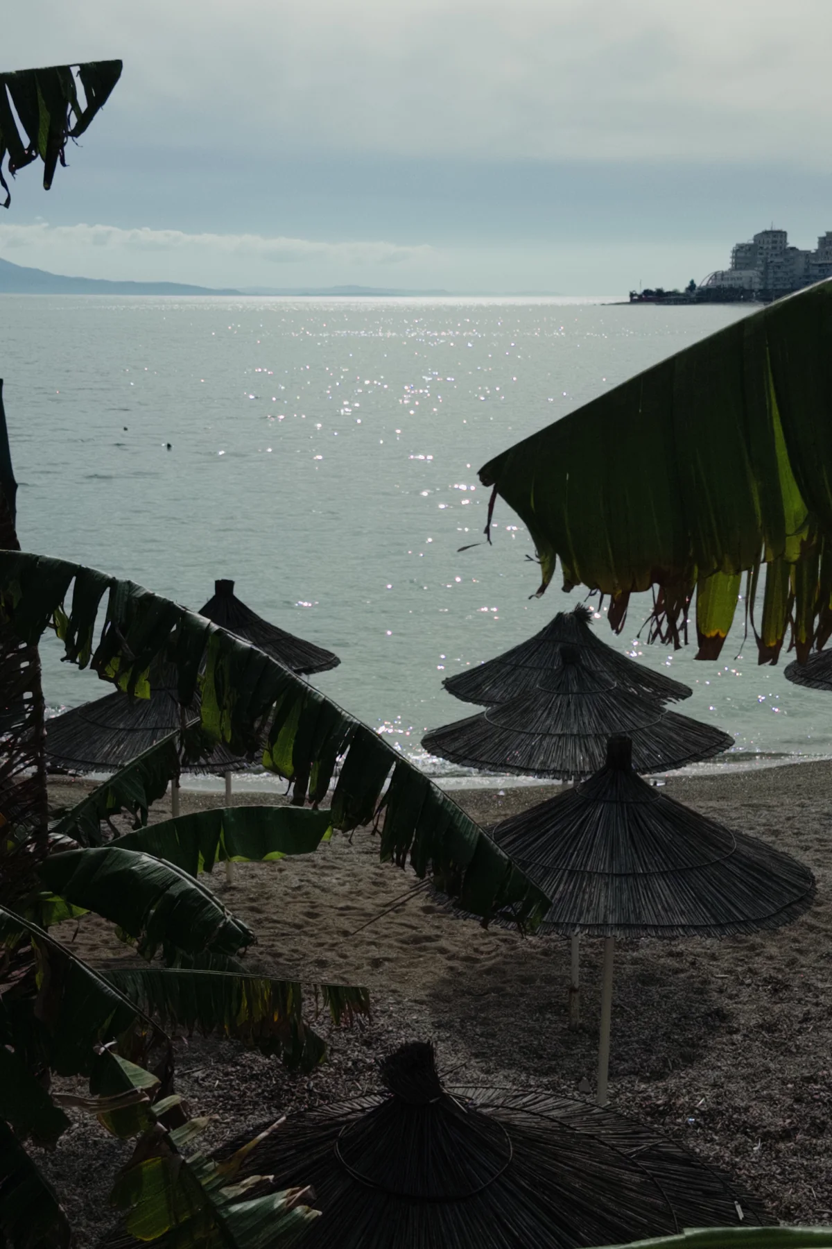 Closed Parasols, photographed in Tirana in 2026
